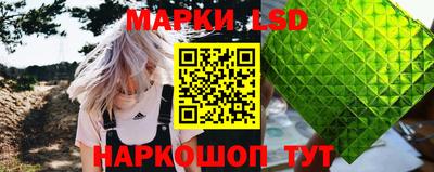 прущие крисы Будённовск