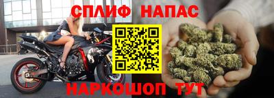 прущие крисы Будённовск
