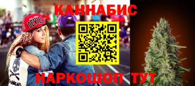 прущие крисы Будённовск