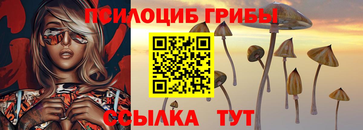 Иркутск  Галлюциногенные грибы Magic Shrooms  Галлюциногенные грибы Magic Shrooms  Вход с VPN 